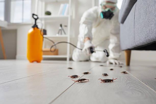 Commercial Kitchen Cockroach Control in Statesville